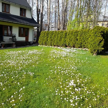 Goscinne Kozica Homestay szállás